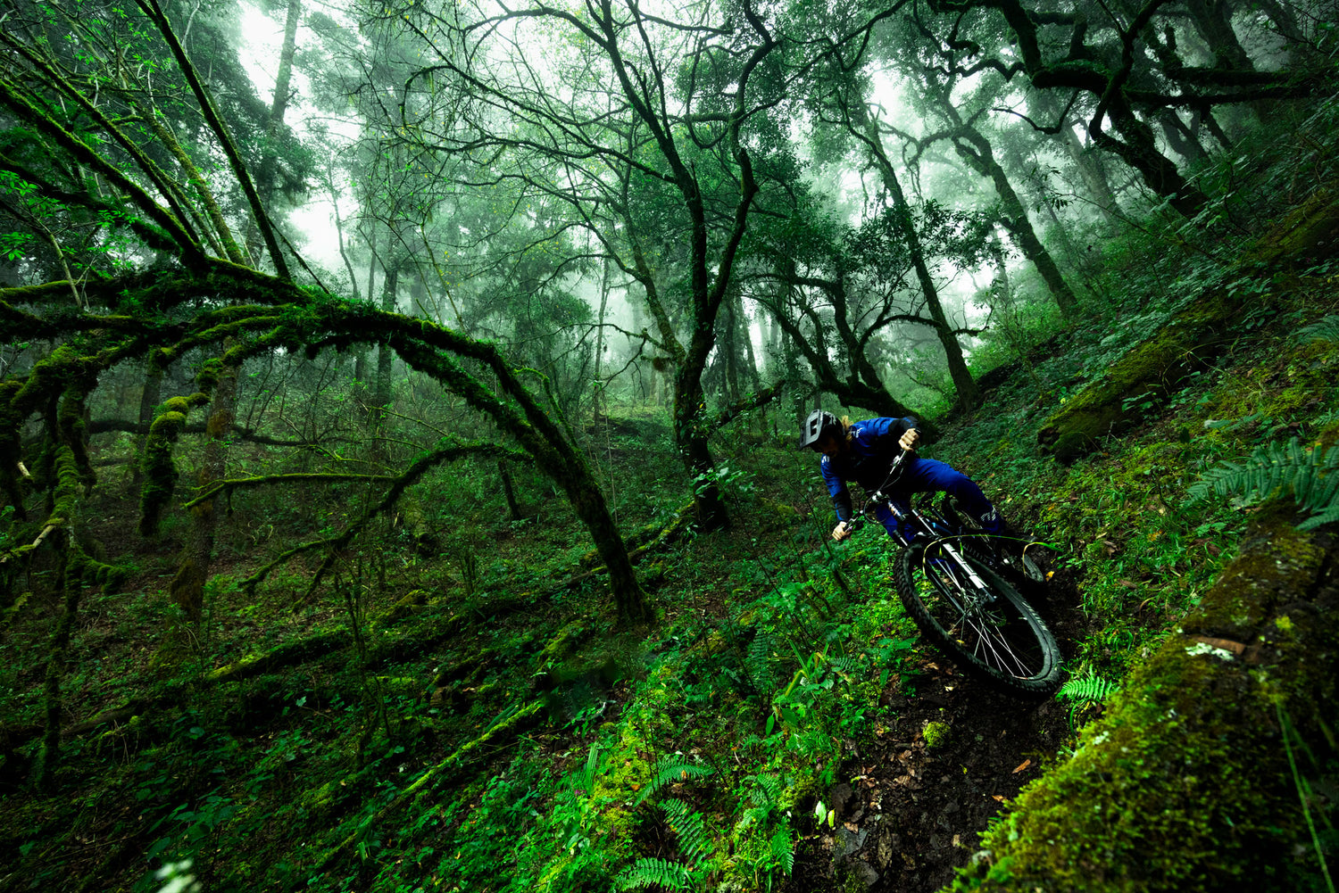 Oaxaca Unveiled: Ripping Single Track with Into the Gnar and Oaxaca Bike Expeditions | Kona Bikes